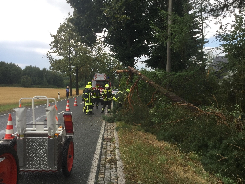Baum droht auf Straße zu stürzen Baum droht auf Straße zu stürzen